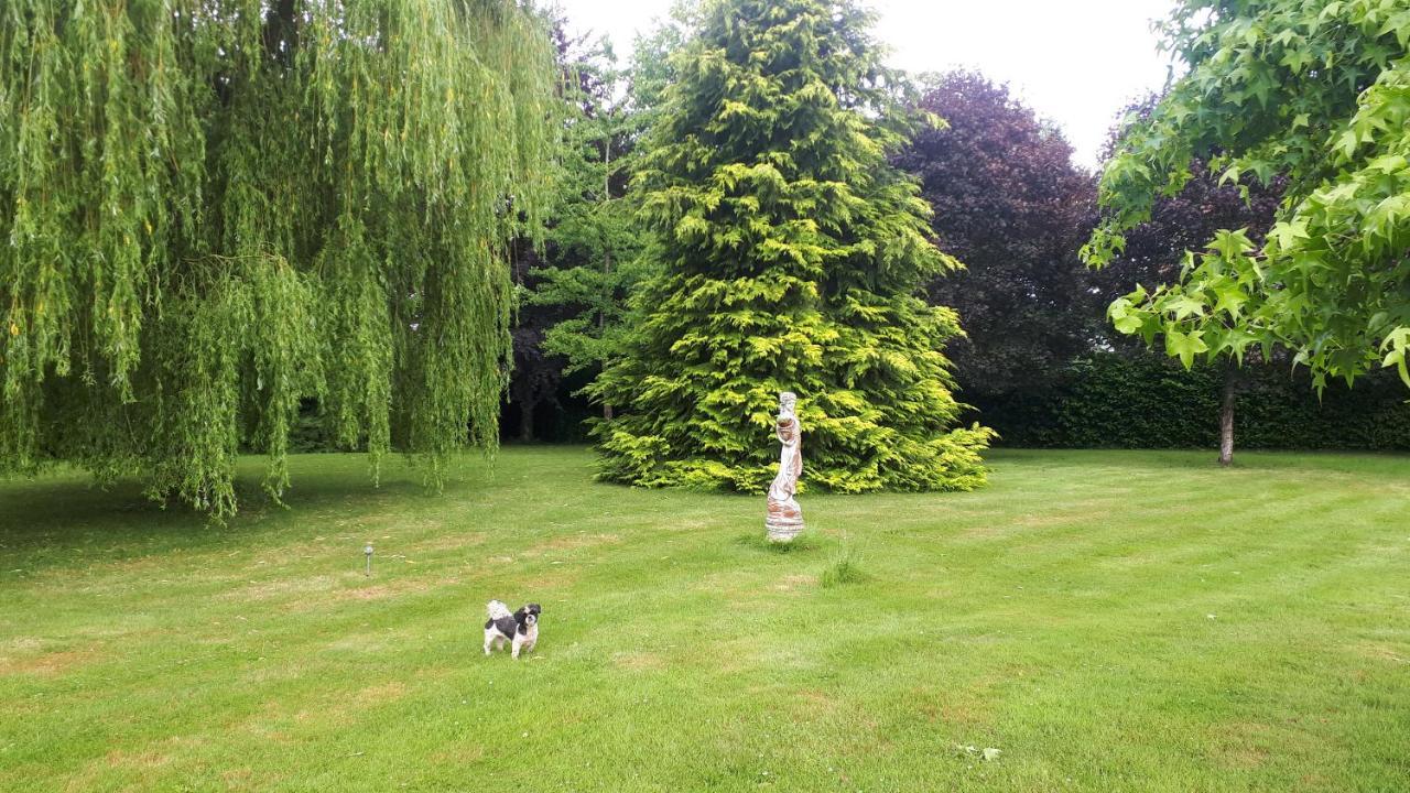 Gite De Bon Air Sens-de-Bretagne 外观 照片