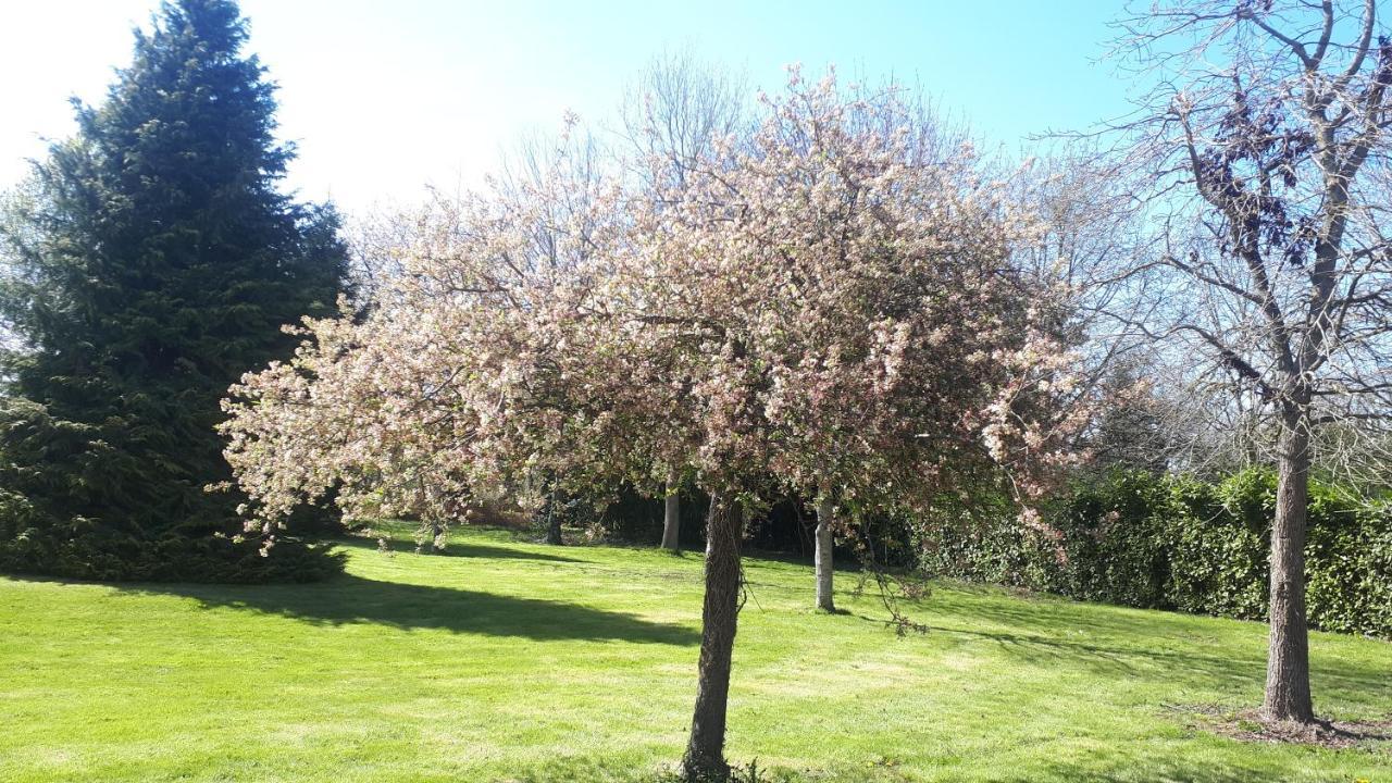 Gite De Bon Air Sens-de-Bretagne 外观 照片